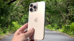 pro